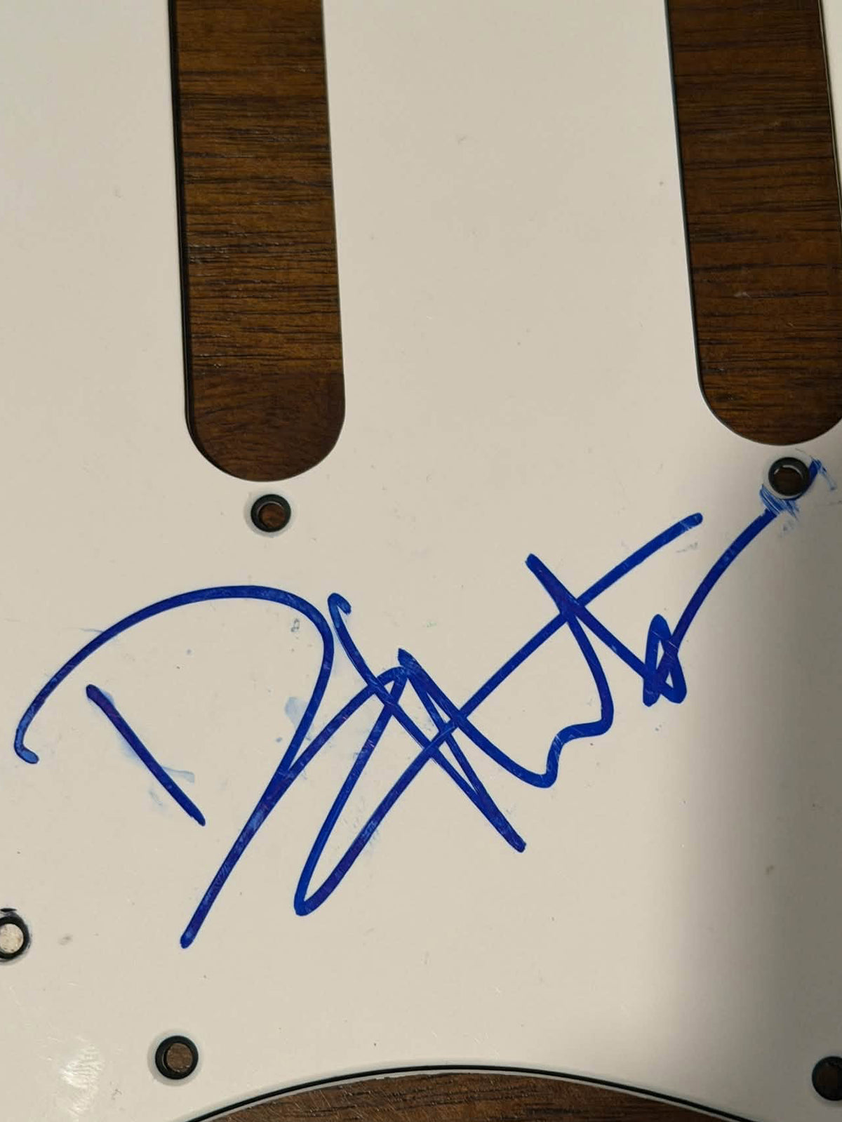 Dave Matthews DMB Autographed Guitar Pick Guard JSA LOA Read Description