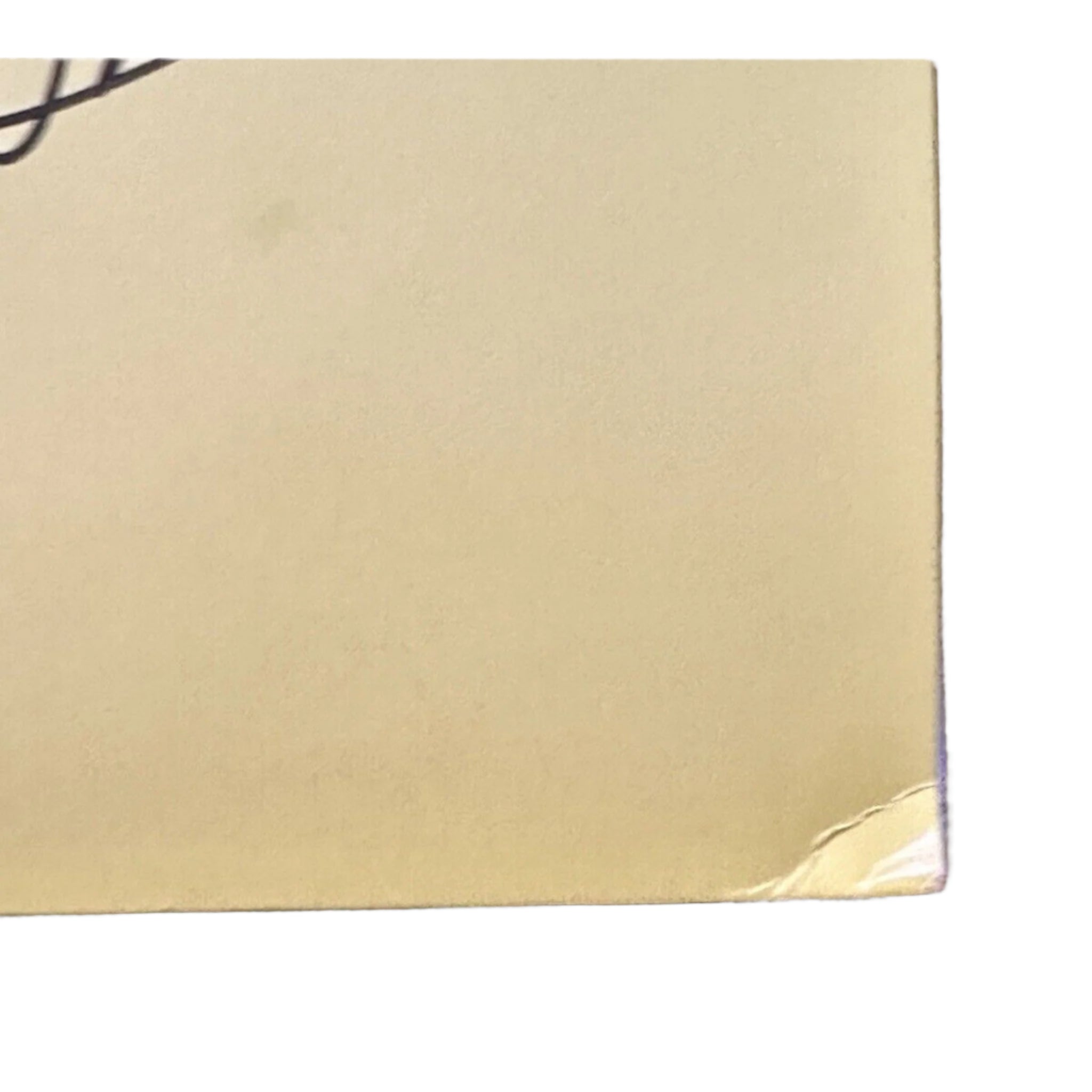 Childish Gambino Donald Glover Autographed STN MTN / Kauai Vinyl Album JSA LOA-Entertainment-Right Off The Field