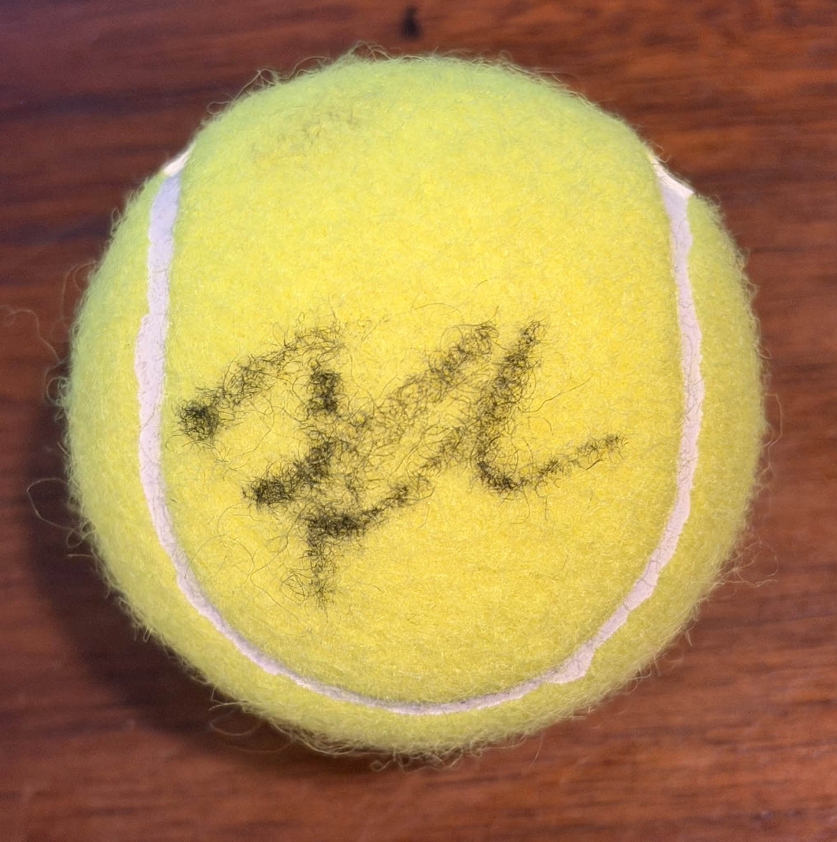 Flavio Cobolli Autographed US Open Tennis Ball JSA COA